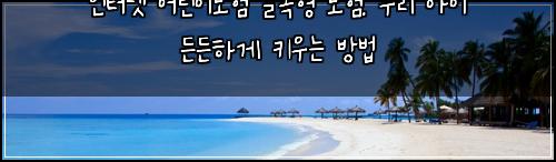 인터넷 어린이보험 실속형 보험: 우리 아이 든든하게 키우는 방법