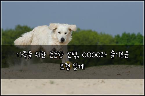 가족을 위한 든든한 선택, OOOO과 슬기로운 보험 설계