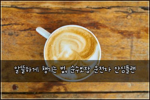 알뜰하게 챙기는 법, 순수보장 운전자 안심플랜