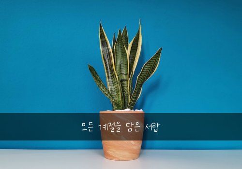 모든 계절을 담은 서랍