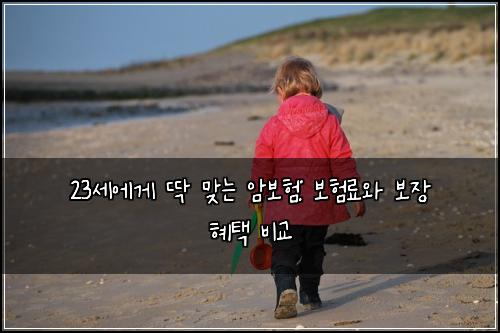 23세에게 딱 맞는 암보험: 보험료와 보장 혜택 비교