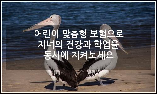 오늘의 이미지