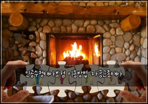 인공수정태아보험 이용방법  자궁근종태아