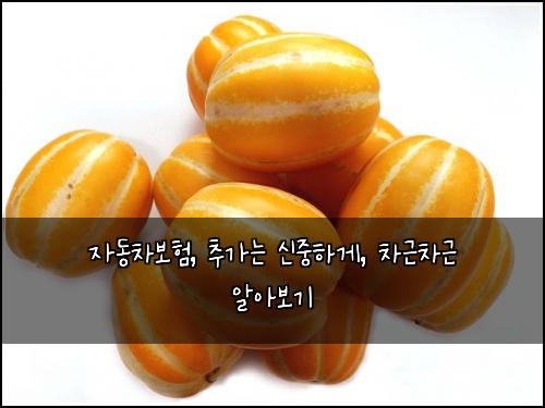  자동차보험, 추가는 신중하게, 차근차근 알아보기