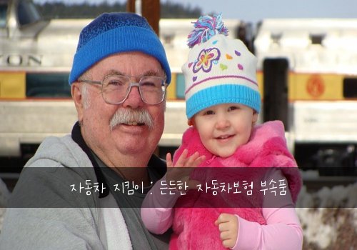 자동차 지킴이 : 든든한 자동차보험 부속품
