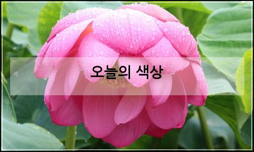 오늘의 이미지