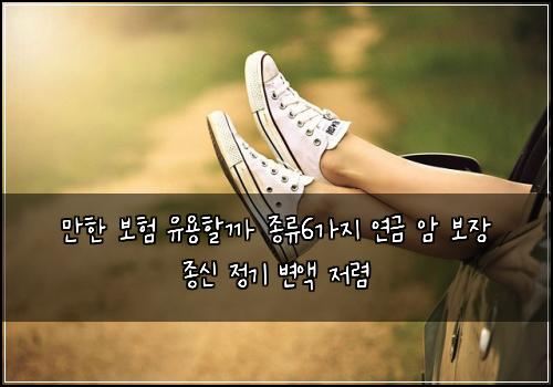 만한 보험 유용할까  종류6가지 연금 암 보장 종신 정기 변액 저렴