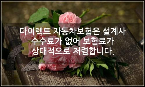 오늘의 이미지