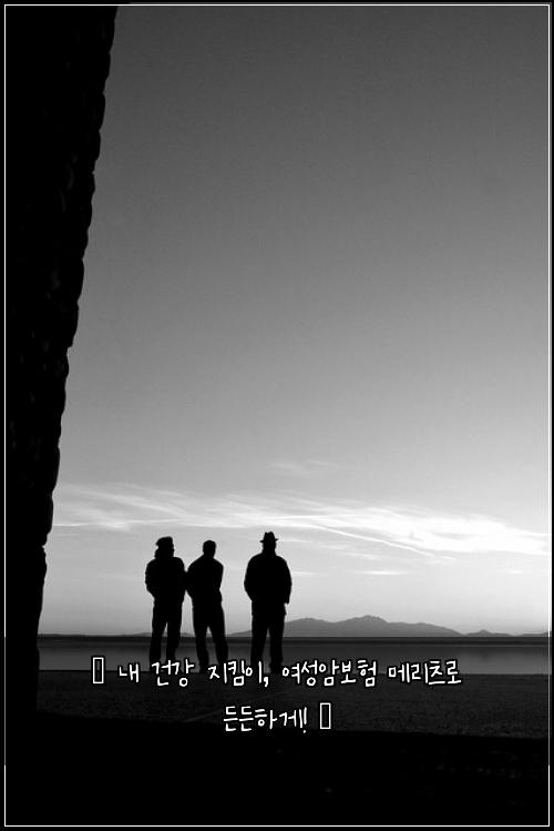  ✨ 내 건강 지킴이, 여성암보험 메리츠로 든든하게! ✨
