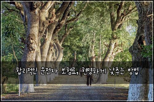  합리적인 운전자 보험료, 현명하게 낮추는 방법