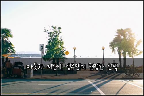 자동차 지킴이! 앵무맨의 현명한 선택