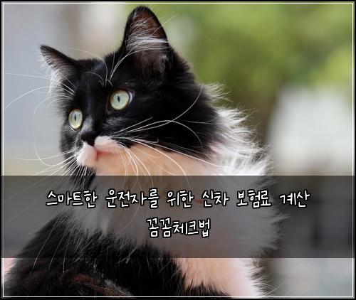  스마트한 운전자를 위한 신차 보험료 계산 꼼꼼체크법