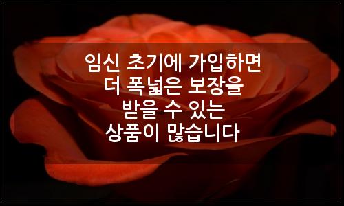 오늘의 이미지