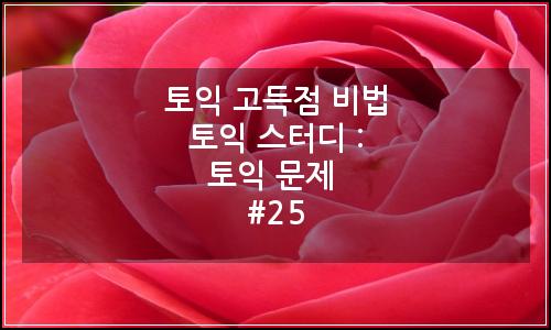 오늘의 이미지