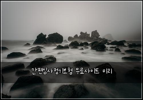 간편심사정기보험 무료사이트  미리