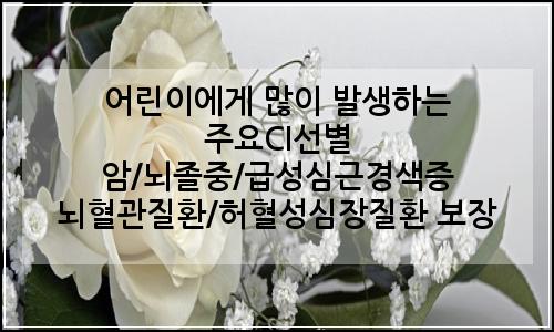 오늘의 이미지