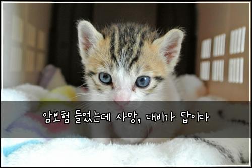 암보험 들었는데 사망, 대비가 답이다