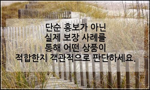 오늘의 이미지