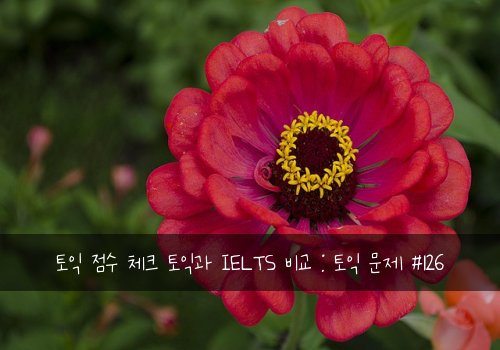 토익 점수 체크 토익과 IELTS 비교 : 토익 문제 #126
