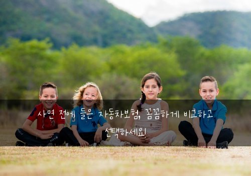 사면 전에 들은 자동차보험, 꼼꼼하게 비교하고 선택하세요!