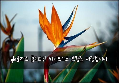 gleํด๋์ค ํ๋ฌ๊ทธ์ธ ํ์ด๋ธ๋ฆฌ๋ ๋ณดํ๋ฃ ์ ๋ ดํฉ๋๋ค