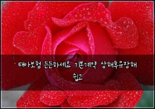 ํ์๋ณดํ ๋ ๋ ํ์ธ์ ๊ธฐ๋ณธ๊ณ์ฝ ์ํดํ์ ์ฅํด ์ฝ๊ณ