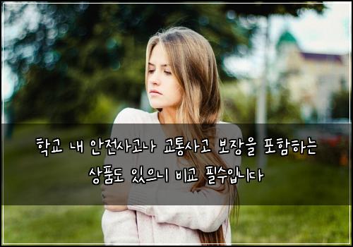 학교 내 안전사고나 교통사고 보장을 포함하는 상품도 있으니 비교 필수입니다