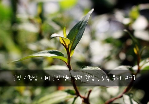 토익 시험장 대비 토익 영어 실력 향상 : 토익 문제 #147