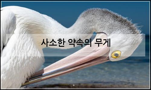 오늘의 이미지
