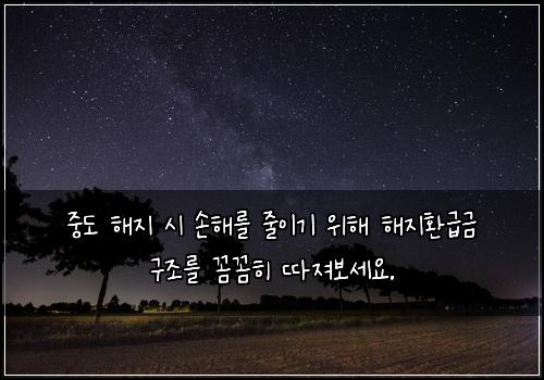 중도 해지 시 손해를 줄이기 위해 해지환급금 구조를 꼼꼼히 따져보세요.