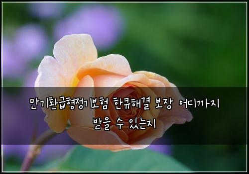 만기환급형정기보험 한큐해결  보장 어디까지 받을 수 있는지