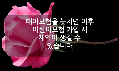 오늘의 이미지
