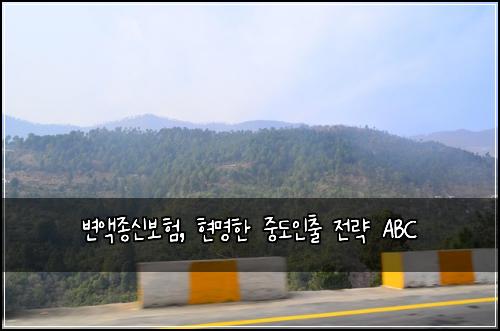  변액종신보험, 현명한 중도인출 전략 ABC