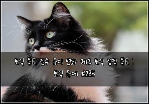 토익 목표 점수 유지 변화 체크 토익 성적 목표 : 토익 문제 #285