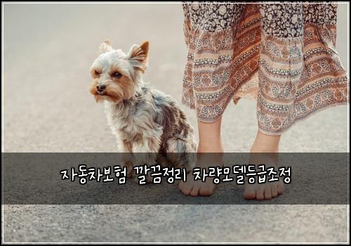 자동차보험 깔끔정리  차량모델등급조정