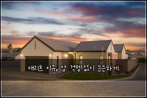 매리츠 이유, 암 걱정 없이 든든하게