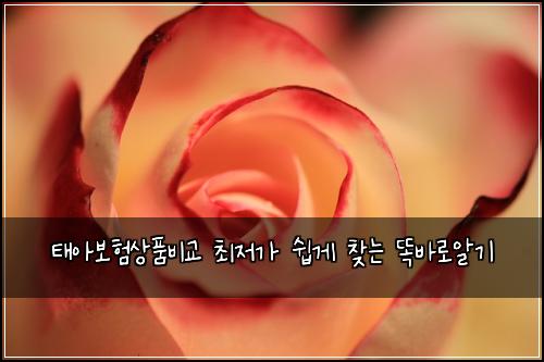 태아보험상품비교 최저가 쉽게 찾는 똑바로알기