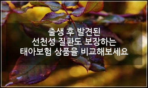 오늘의 이미지