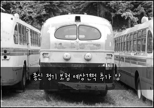 종신 정기 보험 예상견적  추가 암