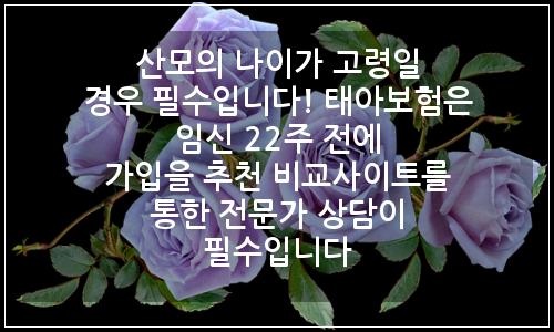 오늘의 이미지
