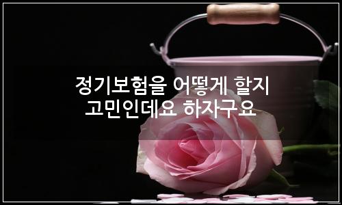 오늘의 이미지