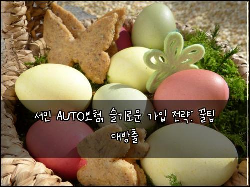 서민 AUTO보험, 슬기로운 가입 전략: 꿀팁 대방출