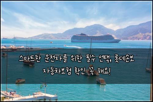  스마트한 운전자를 위한 필수 선택, 롯데손보 자동차보험 확인 꼭 해요!