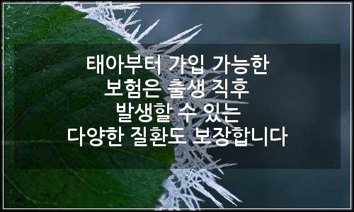 오늘의 이미지