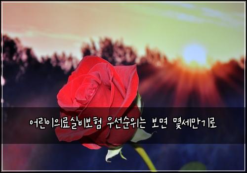 어린이의료실비보험 우선순위는  보면 몇세만기로