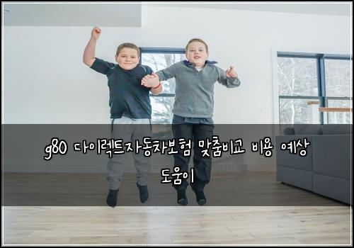 g80 λ€μ΄λ νΈμλ차보ν λ§μΆ€λΉκ΅ λΉμ© μμ λμμ΄