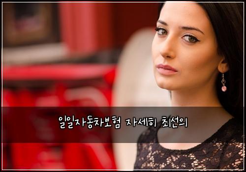일일자동차보험 자세히  최선의