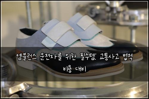  엠블런스 운전자를 위한 필수템: 교통사고 법적 비용 대비
