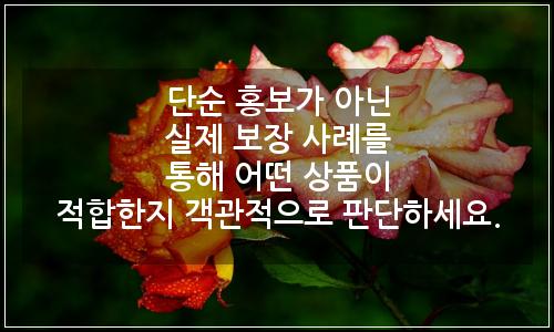 오늘의 이미지