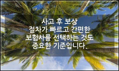 오늘의 이미지